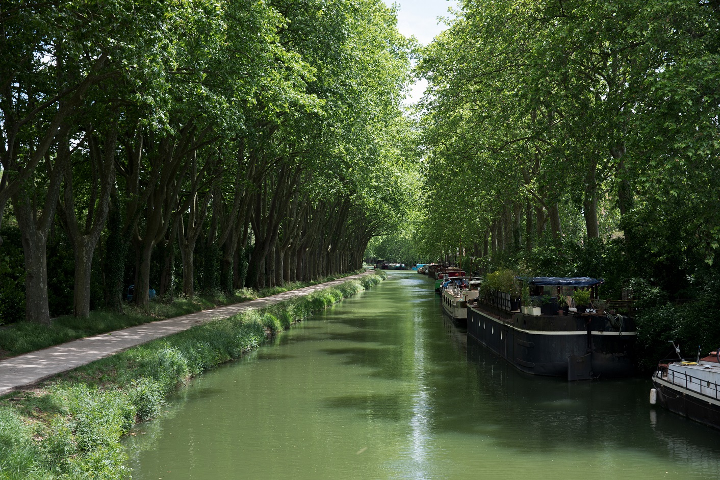 canal du midi à Ramonville